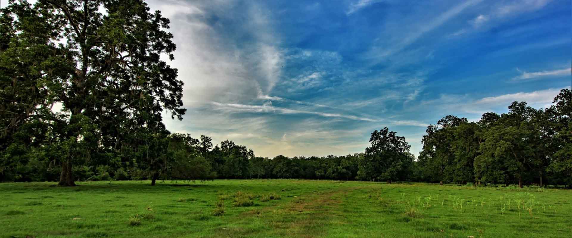 NOW SELLING! 23 Tracts from 10-15 Acres in Victoria County, TX.