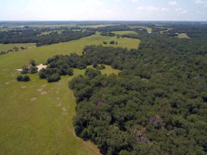 Freestone County Land for Sale by Colt Ranch - photo