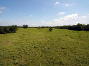 Freestone County Land for Sale by Colt Ranch - photo