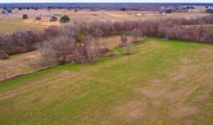 Colt Ranch - Wharton County - Typical Land Use - photo
